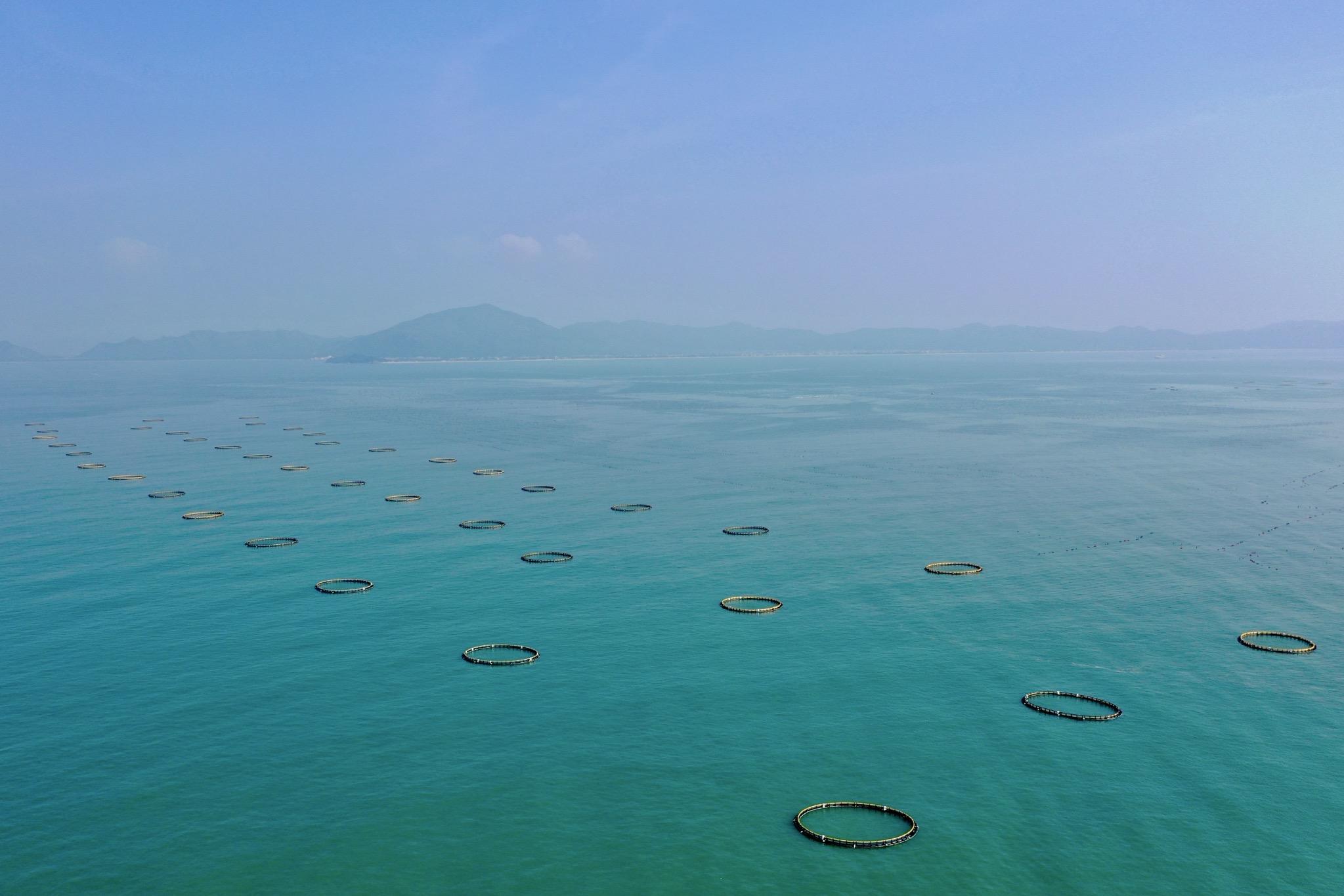 广东再增现代化海洋牧场装备